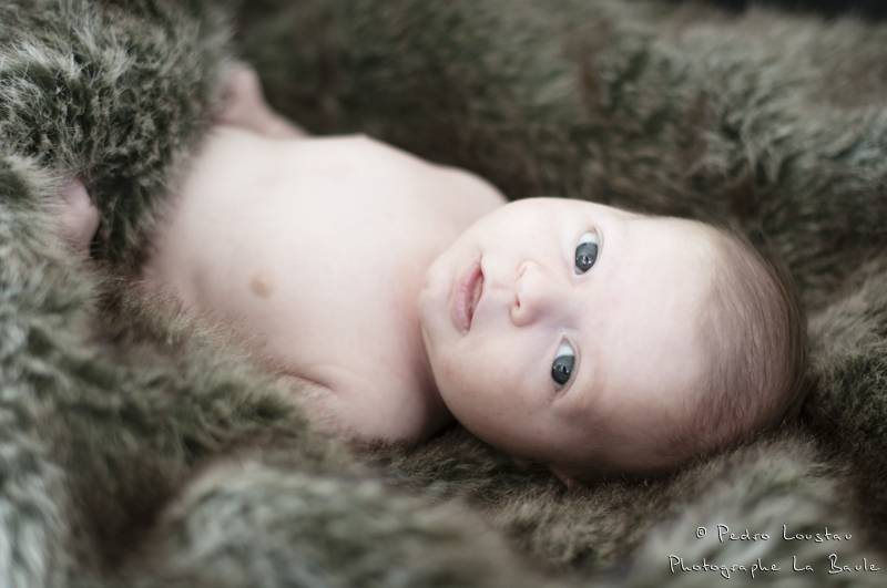 bébé qui sourit dans une peau de bete-photographe-la-baule-pedro-loustau