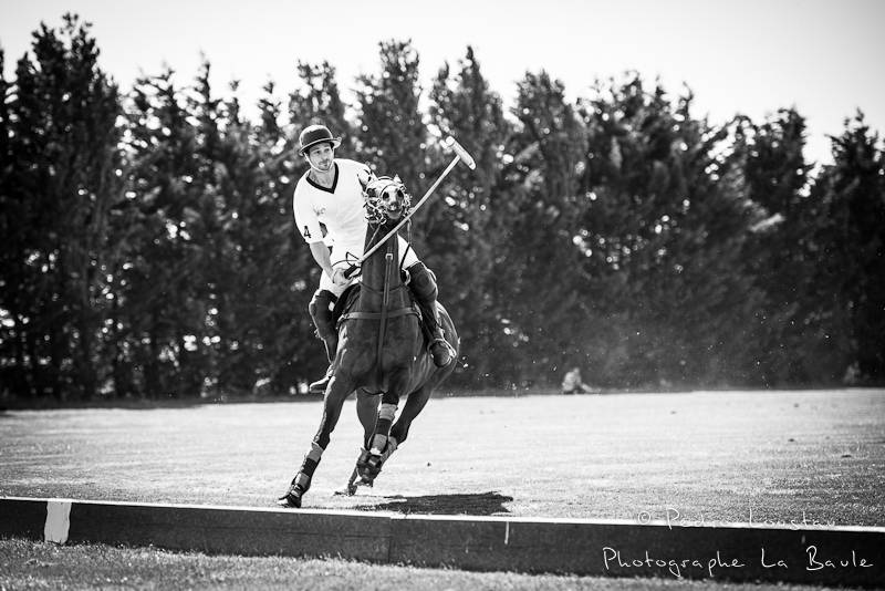 coup sous l'encolure du cheval pour armor team-photographe la baule nantes guérande ©pedro loustau 2012