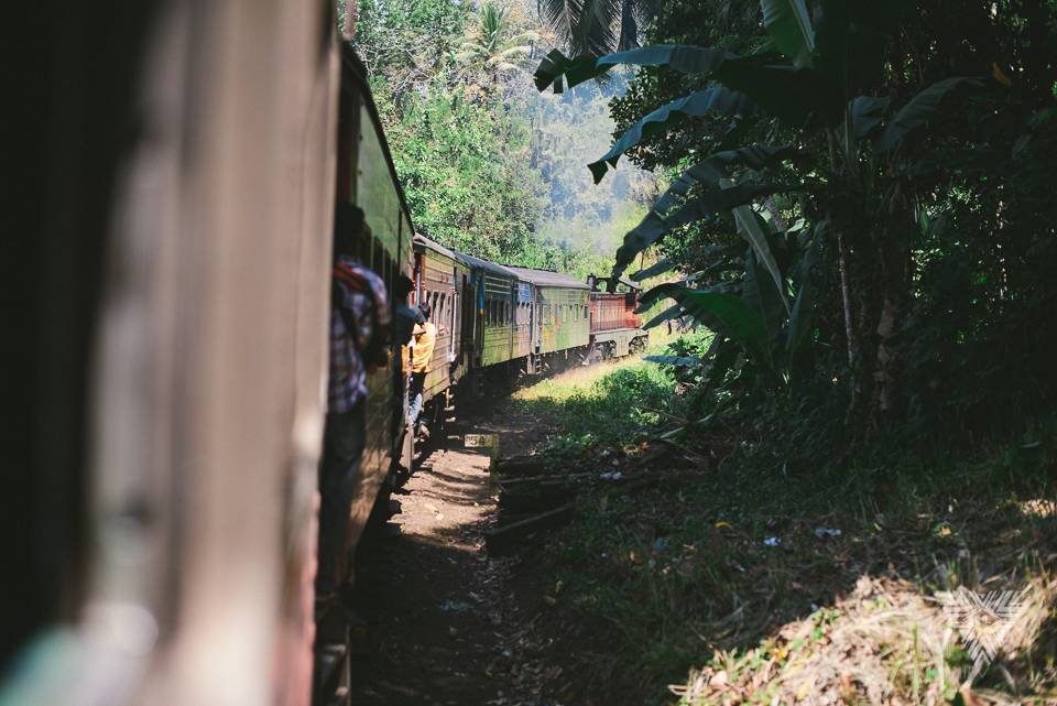 jungle train - photographe la baule - © Pedro Loustau 2014 - www.photographelabaule.com