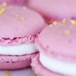 macarons roses en macrophotographie-photographe-la-baule-nantes-pedro-loustau